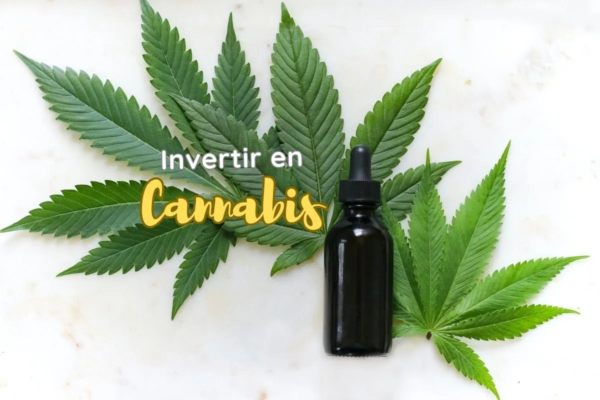 Imagen destacada del artículo: Invertir en Cannabis: Una Guía Completa para 2024